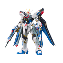 Load image into Gallery viewer, RG ZGMF-X20A Strike Freedom Gundam

