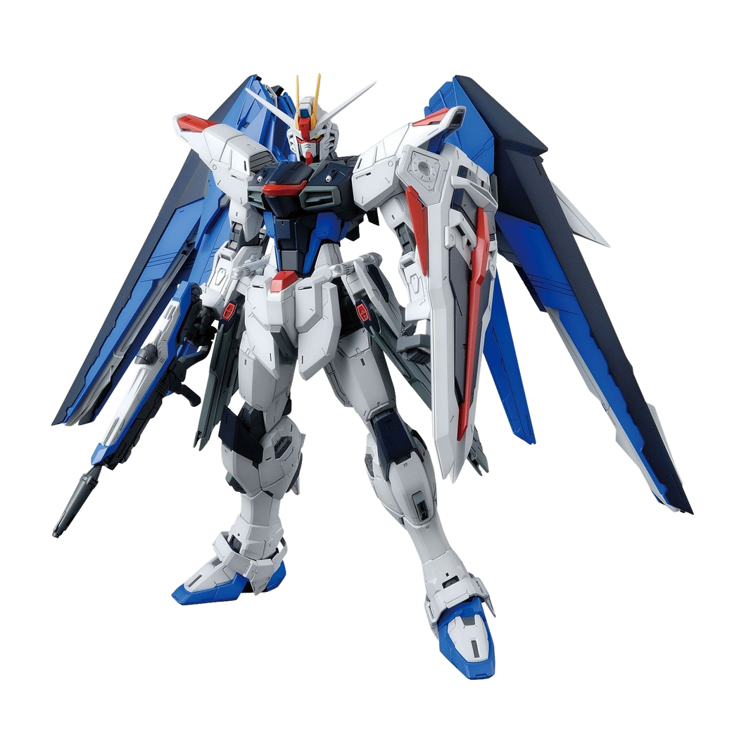 MG Freedom Gundam Ver.2.0